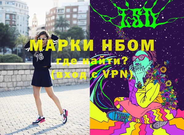 гашик Дмитров