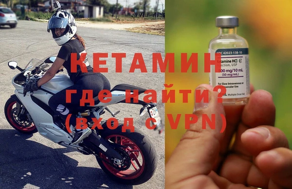 гашик Дмитров