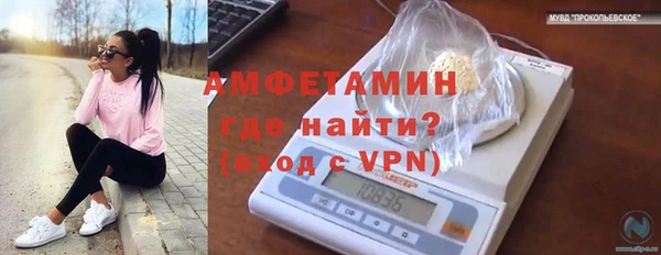 гашик Дмитров