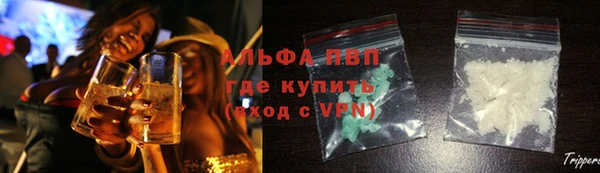 молекула духа Дмитровск