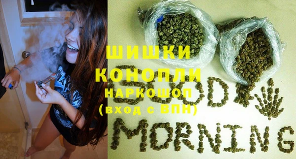 молекула духа Дмитровск
