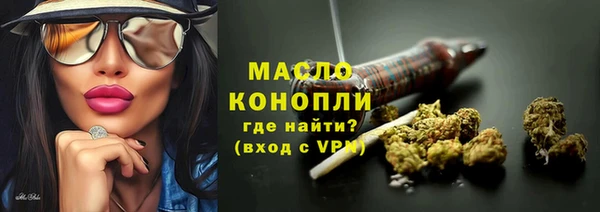 гашик Дмитров