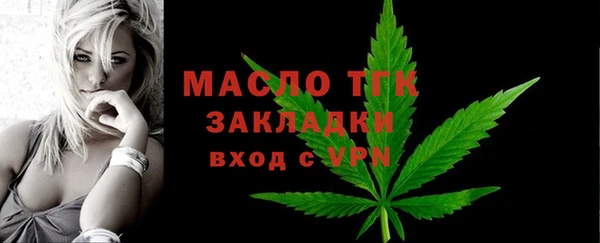 гашик Дмитров