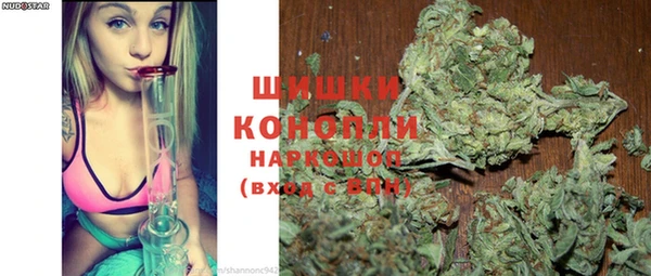 гашик Дмитров
