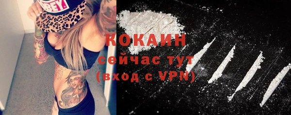 гашик Дмитров