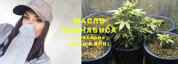 гашик Дмитров