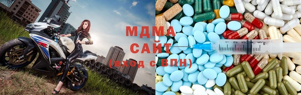 гашик Дмитров