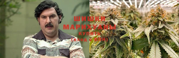 гашик Дмитров