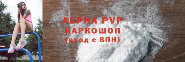 гашик Дмитров