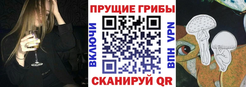 ссылка на мегу вход  Одинцово  Псилоцибиновые грибы GOLDEN TEACHER 
